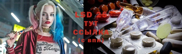ПСИЛОЦИБИНОВЫЕ ГРИБЫ Богданович