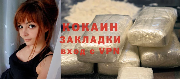 ПСИЛОЦИБИНОВЫЕ ГРИБЫ Богданович
