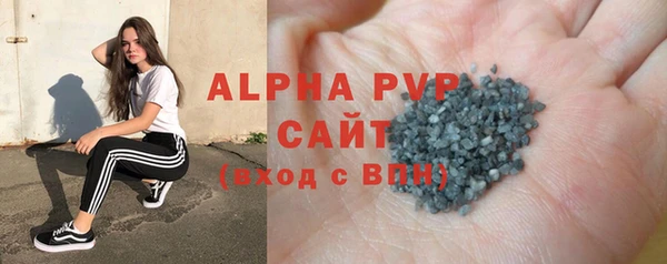 ПСИЛОЦИБИНОВЫЕ ГРИБЫ Богданович