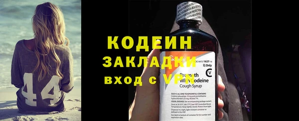 ПСИЛОЦИБИНОВЫЕ ГРИБЫ Богданович