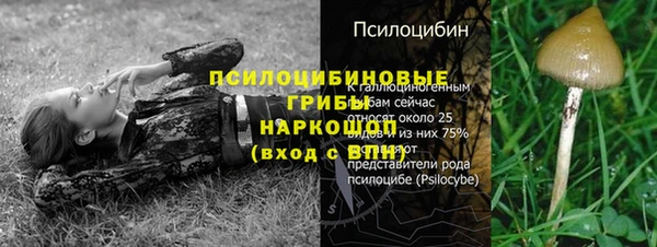 трава Богородицк