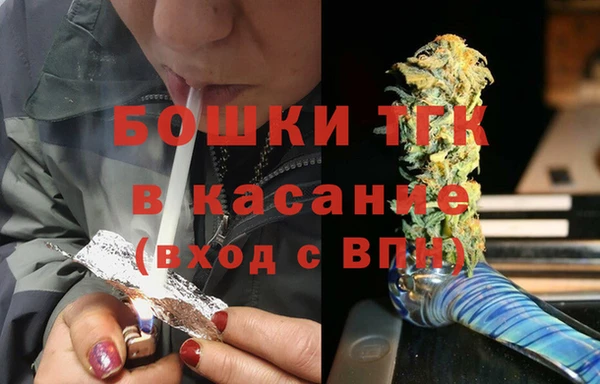 ПСИЛОЦИБИНОВЫЕ ГРИБЫ Богданович