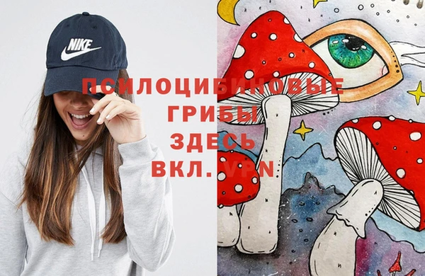 трава Богородицк