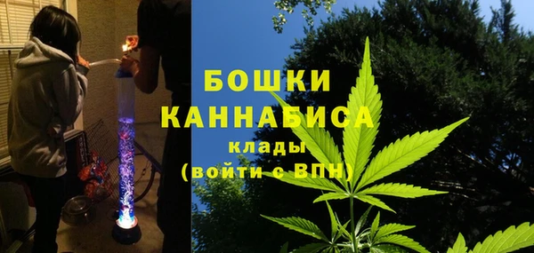 ПСИЛОЦИБИНОВЫЕ ГРИБЫ Богданович