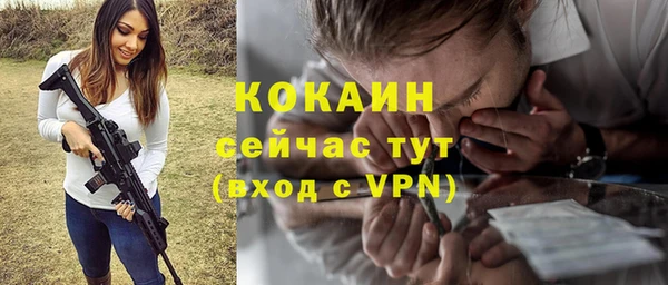 apvp Богородск