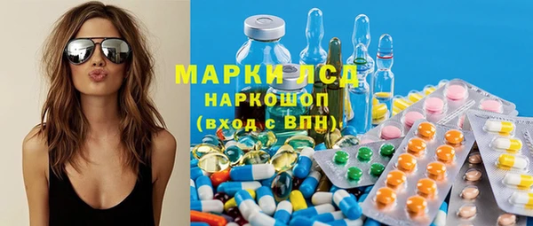 ПСИЛОЦИБИНОВЫЕ ГРИБЫ Богданович