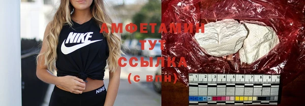 ПСИЛОЦИБИНОВЫЕ ГРИБЫ Богданович