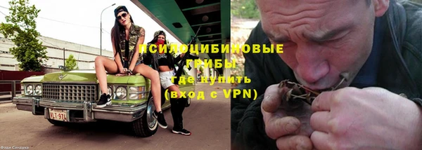 apvp Богородск