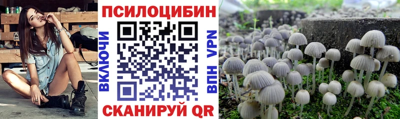 Псилоцибиновые грибы Psilocybe  Среднеуральск 
